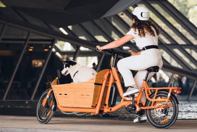 Yuba Supercargo